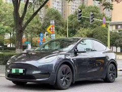 Tesla Model Y Rear-Wheel Drive - ფოტო 1