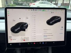 Tesla Model Y Rear-Wheel Drive - ფოტო 2