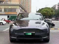 Tesla Model Y Rear-Wheel Drive - ფოტო 3
