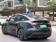 Tesla Model Y Rear-Wheel Drive - ფოტო 9