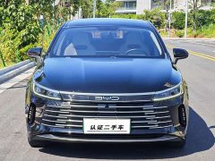 BYD Destroyer 05 Glory Edition DM-i 55KM Luxury - ფოტო 2