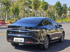 BYD Destroyer 05 Glory Edition DM-i 55KM Luxury - ფოტო 3