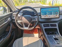 BYD Destroyer 05 Glory Edition DM-i 55KM Luxury - ფოტო 5