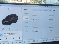 Li Auto L9 Pro - ფოტო 4