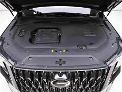 GAC Trumpchi GS8 Dual Engine 2.0TM AWD Luxury Edition (6-Seater) - ფოტო 9