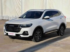 Haval H6 National Trend Edition 1.5T Automatic Urban Version - photo 1