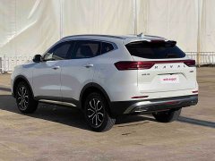 Haval H6 National Trend Edition 1.5T Automatic Urban Version - photo 15