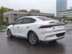 BYD Qin Plus DM-i 55KM Luxury - ფოტო 11