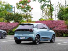 Dongfeng Nanotech 01 330 Air - ფოტო 5