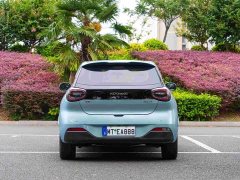 Dongfeng Nanotech 01 330 Air - ფოტო 6