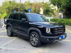 Great Wall Dachshund 2.0T DCT Two-Wheel Drive Chinese Hunting Dog Edition - photo 3