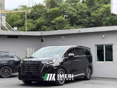 2023 Denza D9 DM-i 1040 Premium