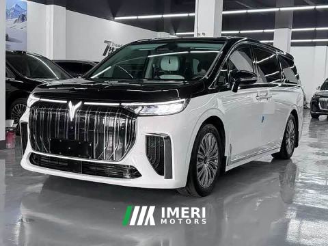 2023 Voyah Dreamer Private Customized 0 Carbon Long Range Edition 605km
