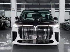 Voyah Dreamer Private Customized 0 Carbon Long Range Edition 605km - фото 2