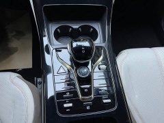 BYD Qin PLUS Glory Edition DM-i 55KM Leading - ფოტო 7