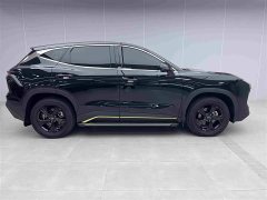 Jetour Jietu Dasheng 1.5T DCT Transcend Edition - ფოტო 3