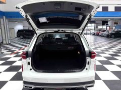 GAC Aion GS4 PLUS 270T Automatic Starlight Edition - ფოტო 12