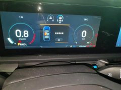Ford Lingrui EcoBoost 170 Platinum Edition - ფოტო 14