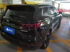 Ford Lingrui EcoBoost 170 Platinum Edition - ფოტო 3
