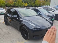 Tesla Model Y Rear-Wheel Drive - ფოტო 3