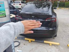 Tesla Model Y Rear-Wheel Drive - ფოტო 6