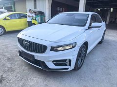 Geely Xingrui 2.0T Diesel Luxury - ფოტო 1