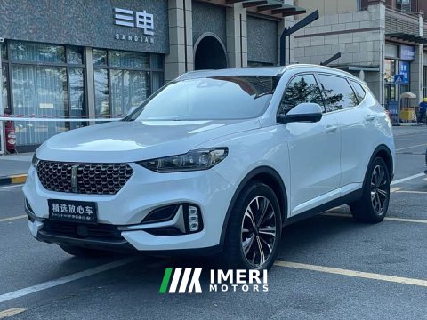 2021 Great Wall WEY VV6 2.0T Two-Wheel Drive Smart Plus - ავტომობილი ჩინეთიდან