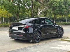Tesla Model Y Performance All-Wheel Drive - ფოტო 12