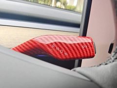 Tesla Model Y Performance All-Wheel Drive - ფოტო 15