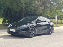 Tesla Model Y Performance All-Wheel Drive - ფოტო 2