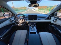 BYD Yuan Plus 510KM Respect and Honor Edition - ფოტო 9