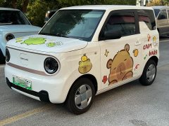 Geely Panda Mini 200km Endurance Edition - ფოტო 1