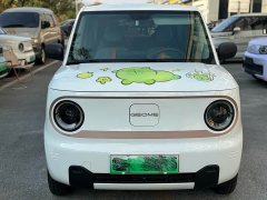Geely Panda Mini 200km Endurance Edition - ფოტო 2