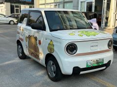 Geely Panda Mini 200km Endurance Edition - ფოტო 3