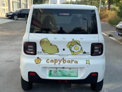 Geely Panda Mini 200km Endurance Edition - ფოტო 8