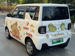Geely Panda Mini 200km Endurance Edition - ფოტო 9
