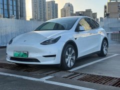 Tesla Model Y Rear-Wheel Drive - ფოტო 2