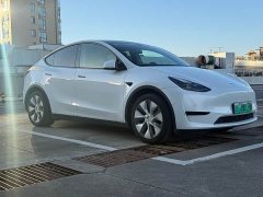 Tesla Model Y Rear-Wheel Drive - ფოტო 3