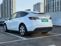 Tesla Model Y Rear-Wheel Drive - ფოტო 6