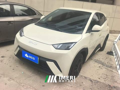2023 BYD Seagull Vitality Edition