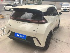 BYD Seagull Vitality Edition - ფოტო 3