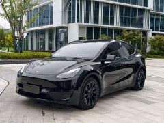 Tesla Model Y Rear-Wheel Drive - фото 1