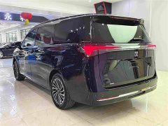 Buick GL8 New Energy Lusang Respect Edition - ფოტო 15