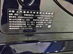 Buick GL8 New Energy Lusang Respect Edition - ფოტო 17