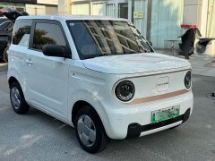 Geely Panda Mini 200km Endurance Edition - photo 3
