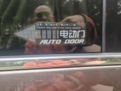 Buick GL8 Land Executive Cabin 652T Luxury - ფოტო 10