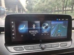 Buick GL8 Land Executive Cabin 652T Luxury - ფოტო 15