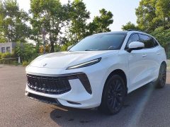 Dongfeng Fengxing T5 EVO 1.5T Diesel DCT Platinum Edition - ფოტო 1