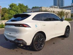 Dongfeng Fengxing T5 EVO 1.5T Diesel DCT Platinum Edition - ფოტო 12