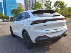 Dongfeng Fengxing T5 EVO 1.5T Diesel DCT Platinum Edition - ფოტო 13